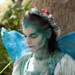 Fairy