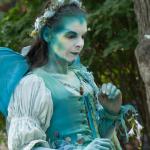 Fairy