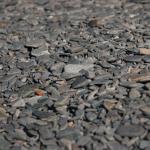 Fox Island, Kenai Fjords National Park, Alaska