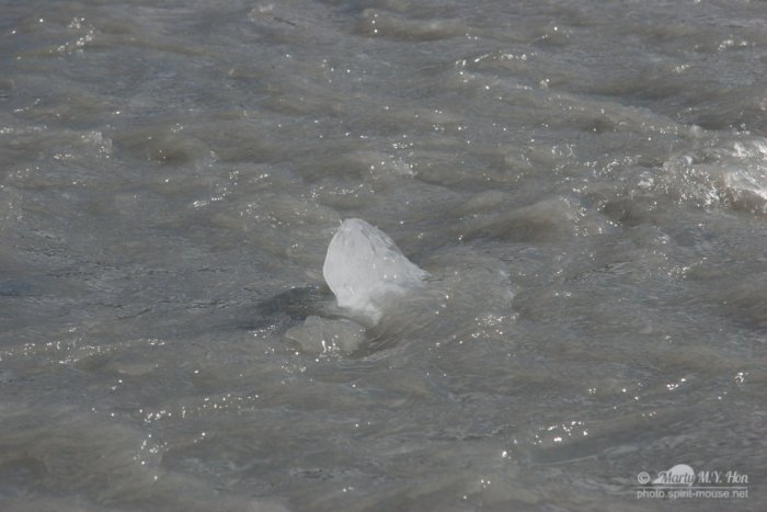 Exit Glacier, Seward, Alaska