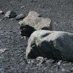 Exit Glacier, Seward, Alaska