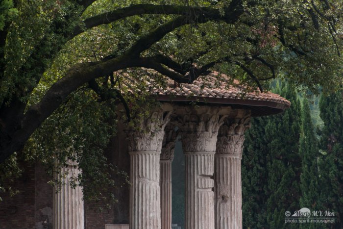 Tempio di Ercole Vincitore, Rome, Italy