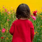 Early summer blossoms