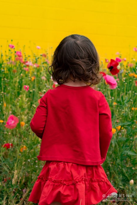 Early summer blossoms