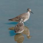 Are you spying on us