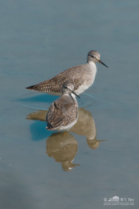 Are you spying on us