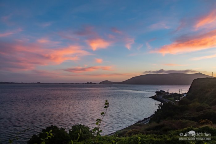 Good morning Otago Peninsula