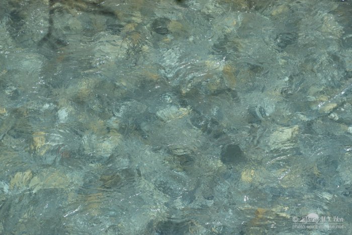 Clear lake shore waterbed