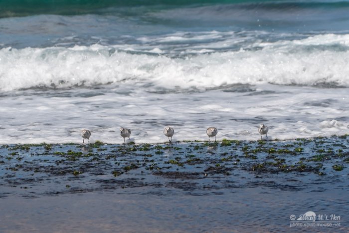 Run, run, run, run, run