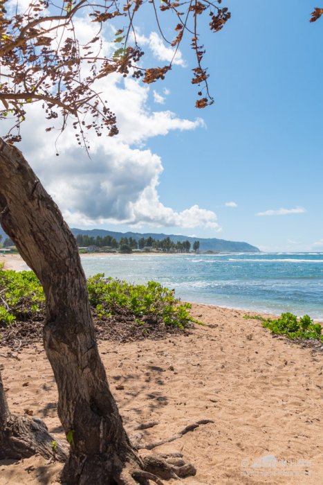 @ Haleiwa Ali'i beach park
